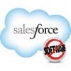 Salesforce CRM only in cloud
